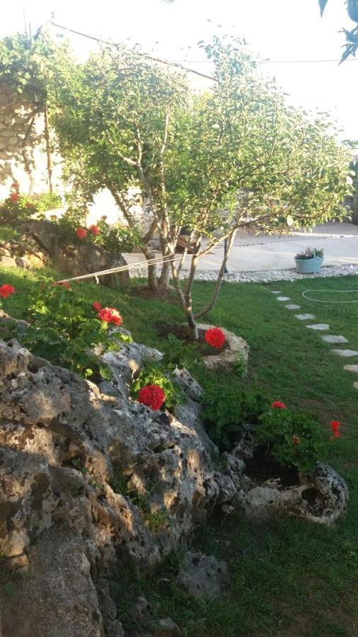 Villa Kostandin 체파로 외부 사진