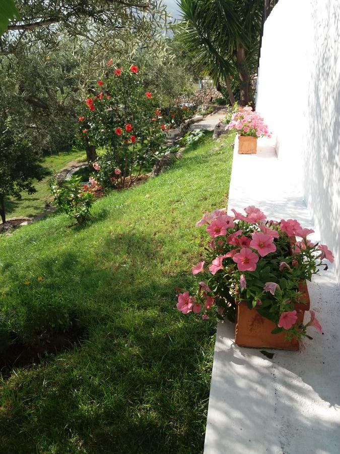 Villa Kostandin 체파로 외부 사진